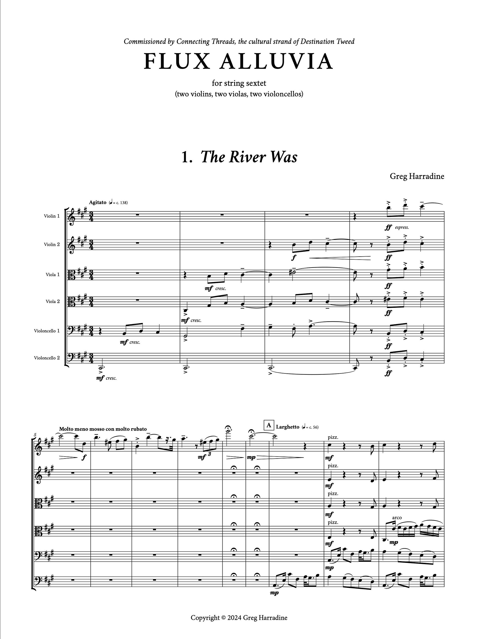 Flux Alluvia (string sextet) product image (1)