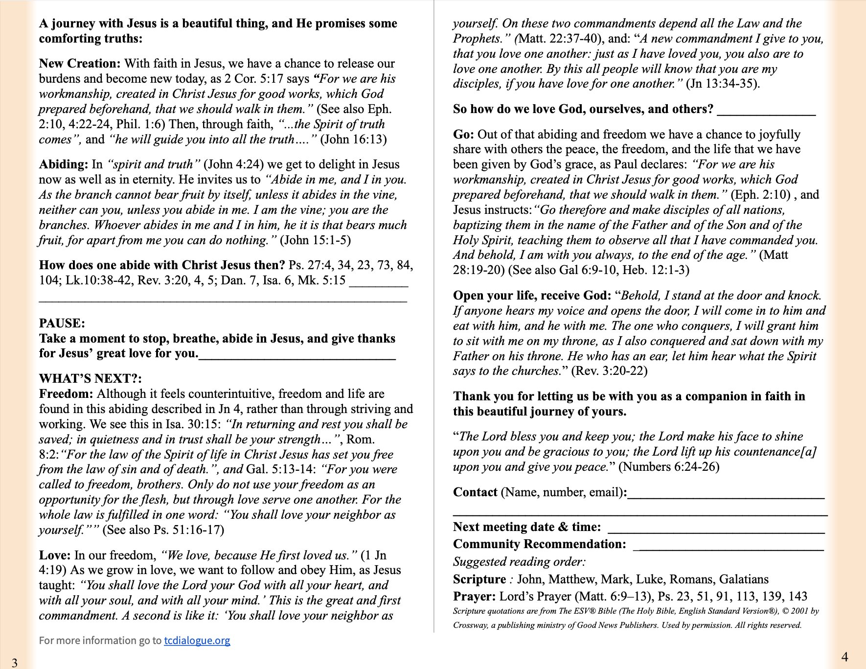Basic Gospel Printout - ESV product image (2)