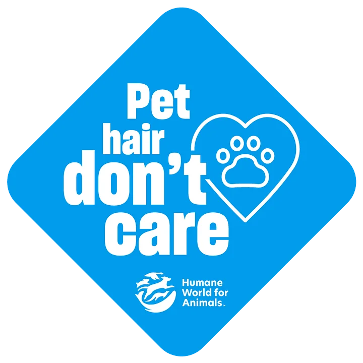 Companion animals stickers – Set of 4 product image (2)