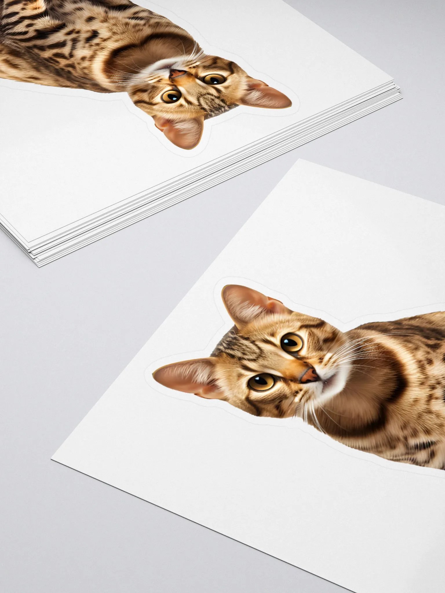 Bengal Beauty Cat Stickers product image (4)
