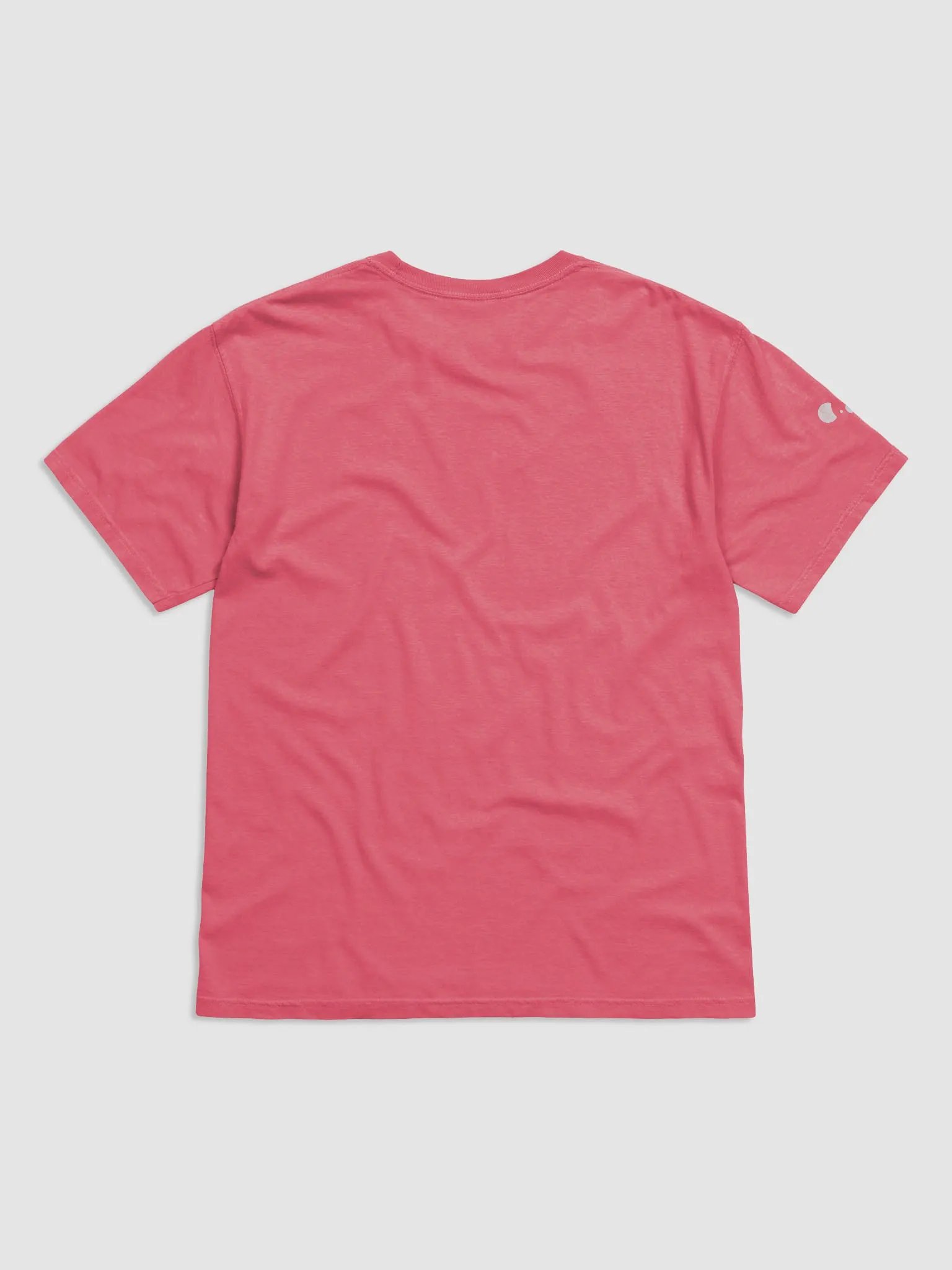 Koala Minimalist T-Shirt product image (17)