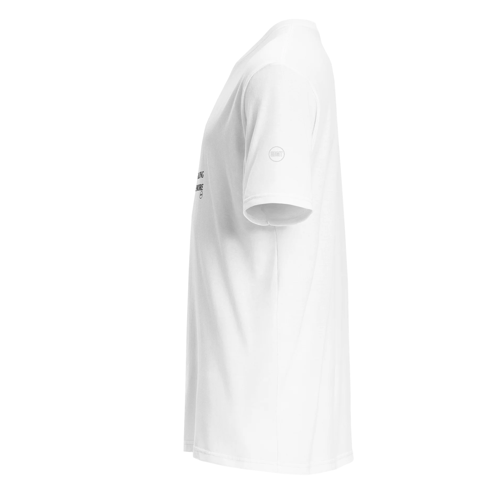 I’m Not Healing Quietly Anymore Tee | GBMT Women’s Power Statement Shirt product image (4)