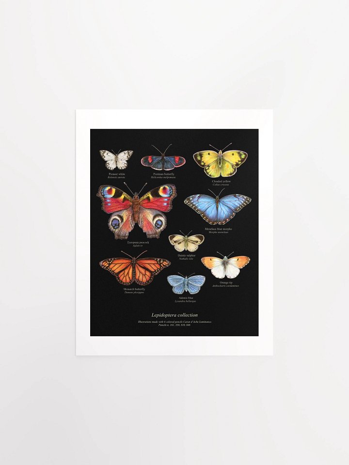 Butterflies illustration Art Poster product image (3)