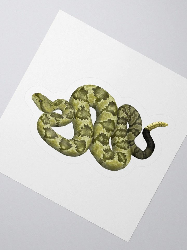 Die-Cut Sticker – Blacktailed Rattlesnake (Desert Phase) product image (2)