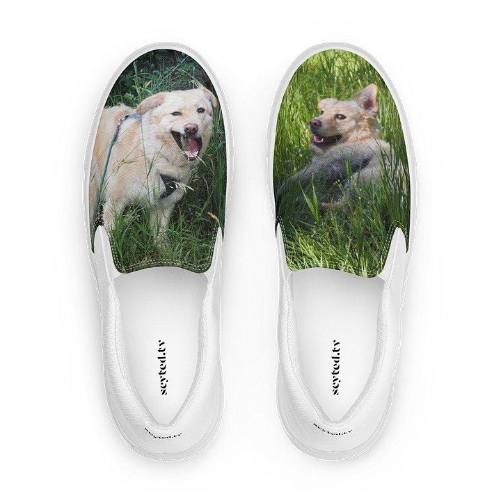 Ray of Sunshine - Milo's Life Women's Slip-On Canvas Shoes product image (1)