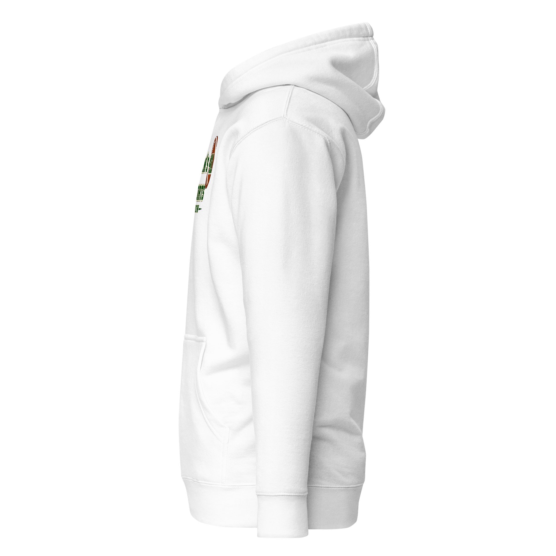 Jordan 411 Sports Show Premium Collection Logo Hoodie white product image (4)