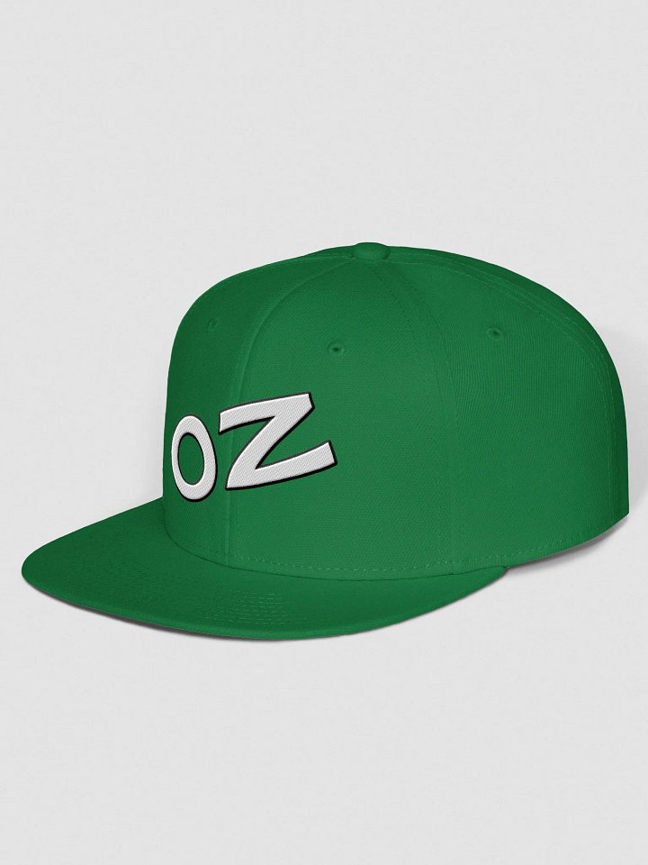 Emerald City Salon Workers, Wool Blend Snapback Cap product image (2)