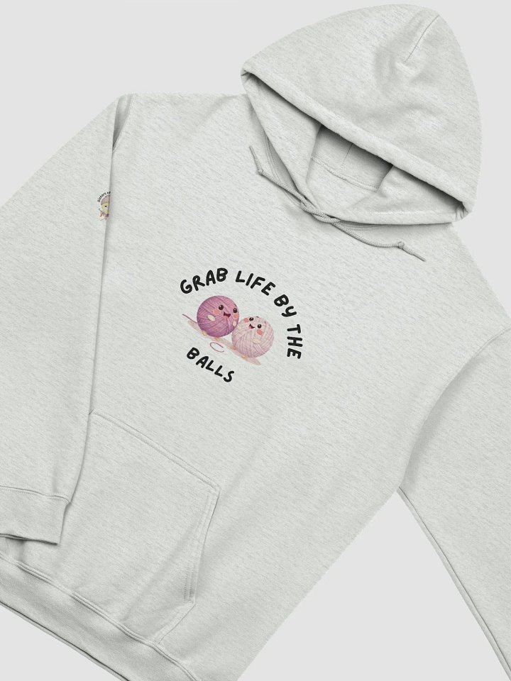 Grab Life By the Balls Hoodie product image (15)