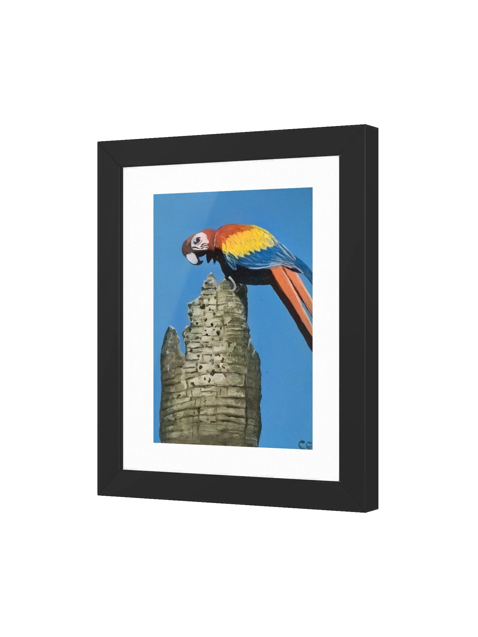 Scarlet Spirit of Playa Blanca Framed Poster product image (7)