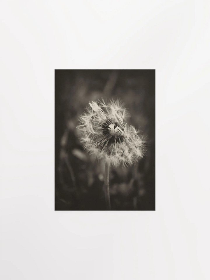 Dandelion product image (3)
