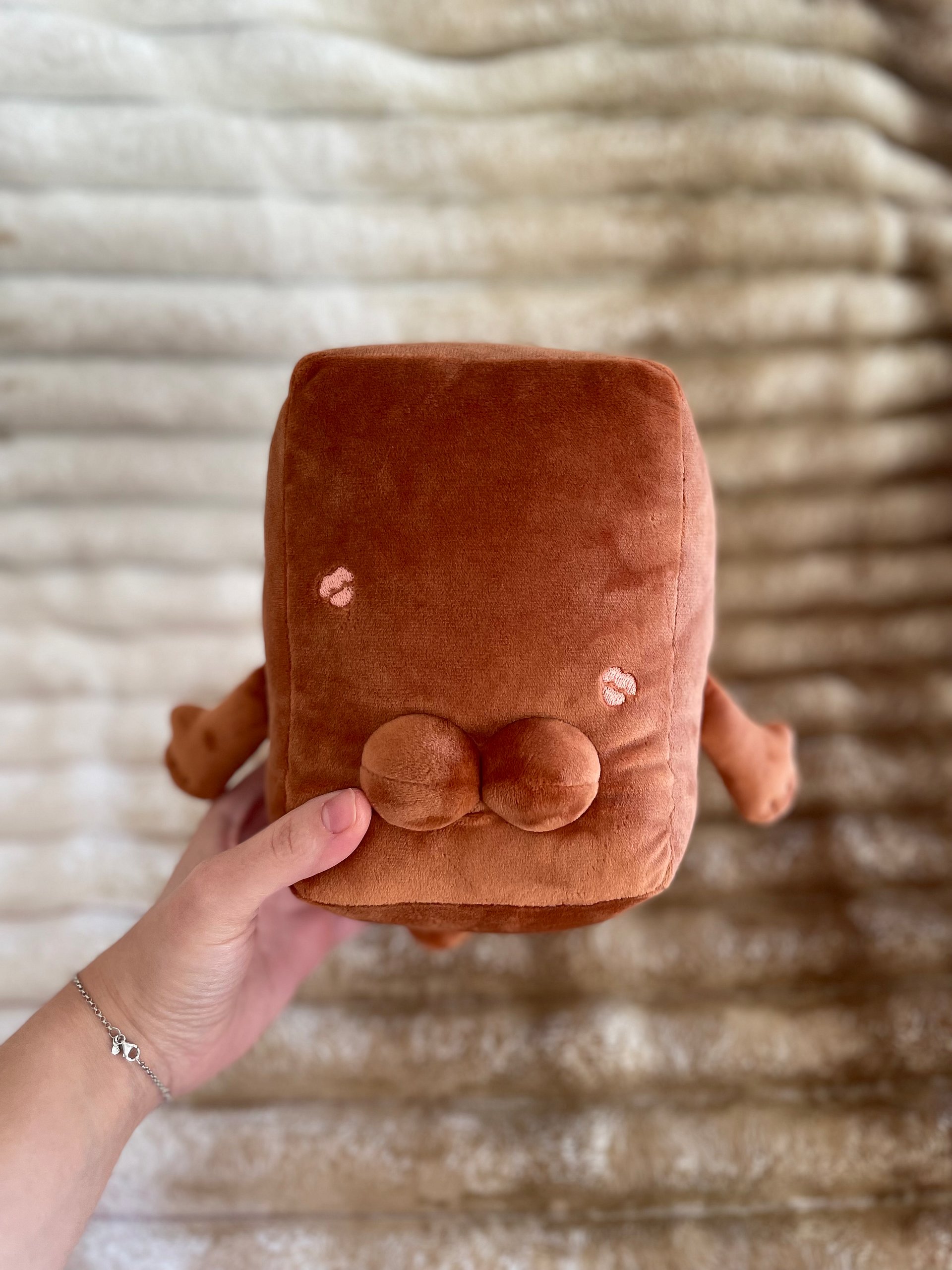 Choco Plushie Preorder product image (3)