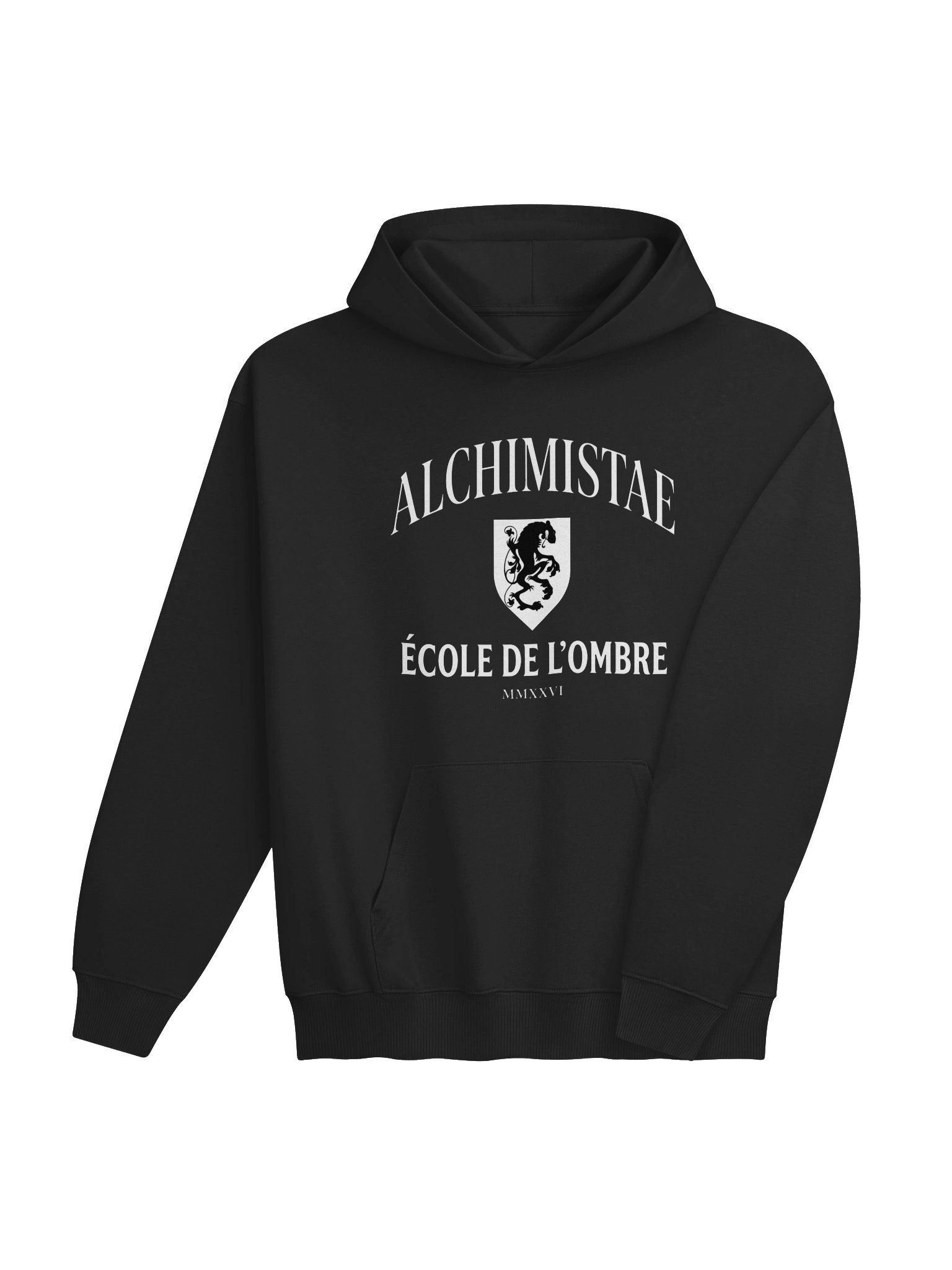 Hoodie mixte oversize Coton Bio Poids Lourd – ÉCOLE DE L'OMBRE product image (10)