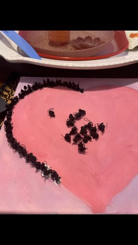 Peek into my latest art piece. Which has been steadily evolving as I’ve been making it. I love to sit with a project for a li...