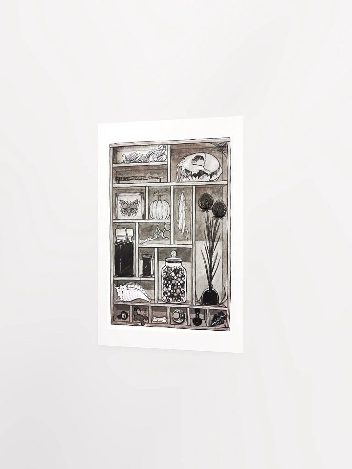 Cabinet of Curiosities Art Print product image (2)