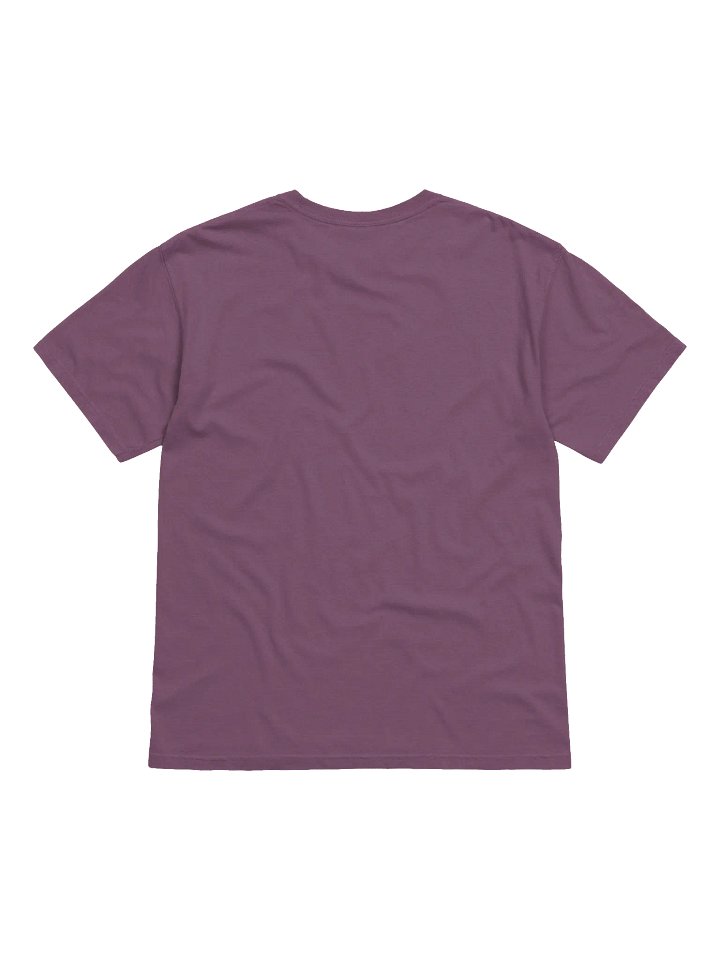 REBINJAK Star Logo Cotton T-Shirt product image (15)