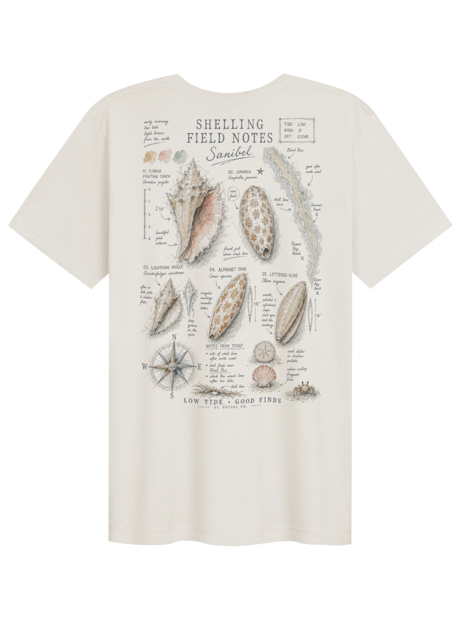 LL Social Co. Shelling Field Notes Tee — Sanibel product image (12)