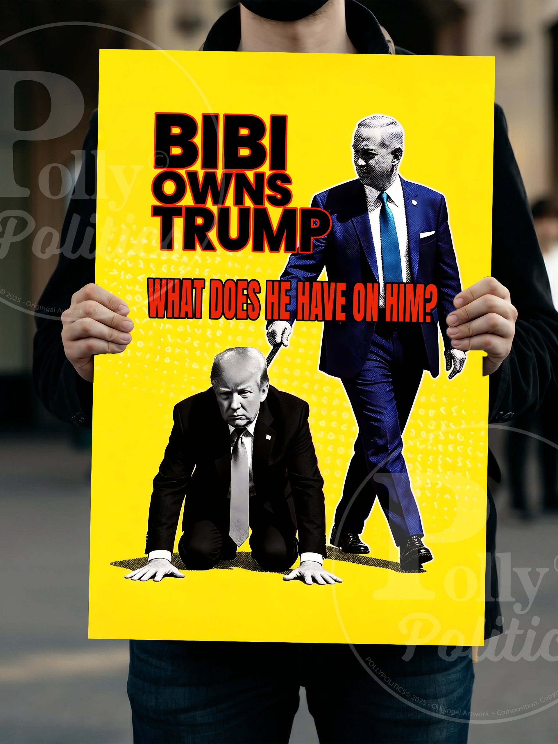 Bibi Owns Trump Protest Sign product image (5)
