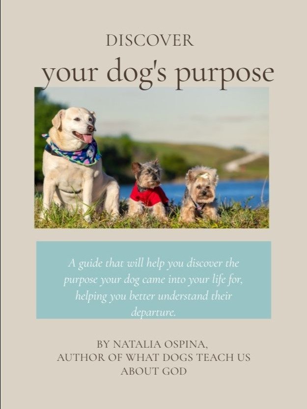 Discover your pet's purpose in your life in 7 steps: E-Book product image (1)