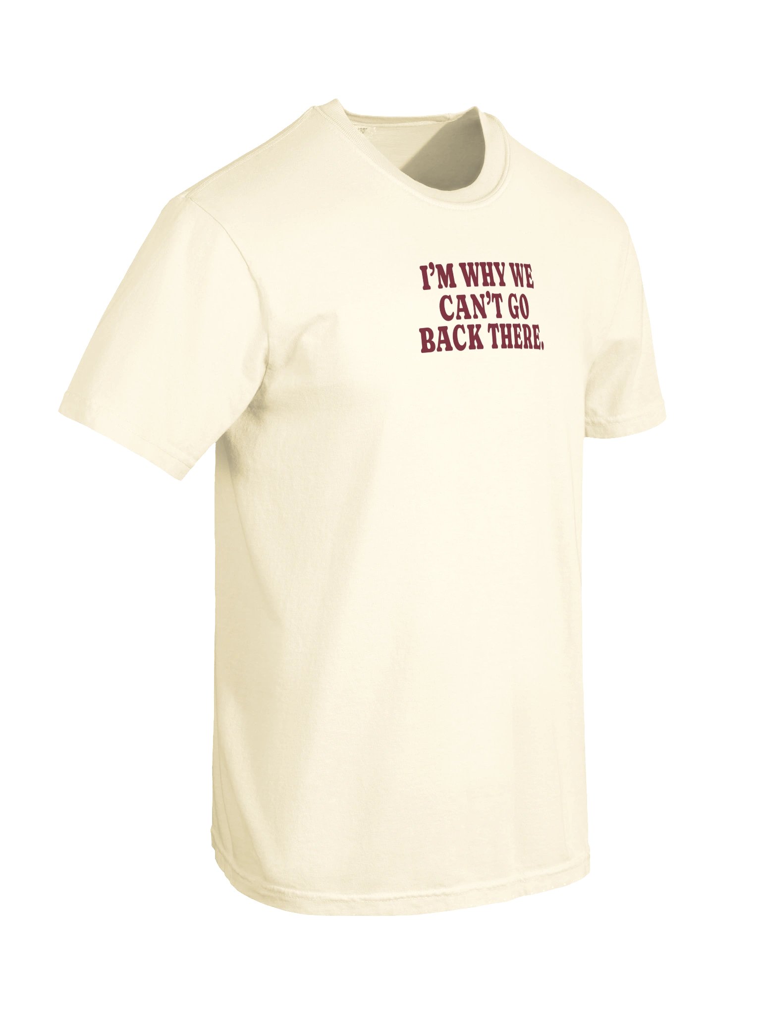 I'm Why We Can't Go Back There Tee product image (10)