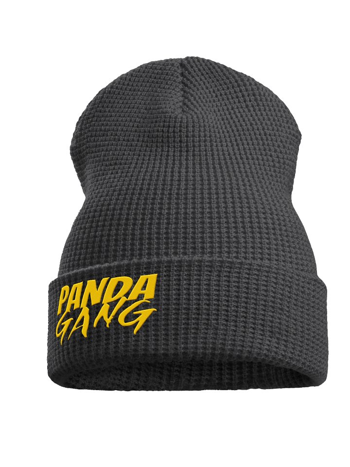 Panda Gang Beanie product image (2)