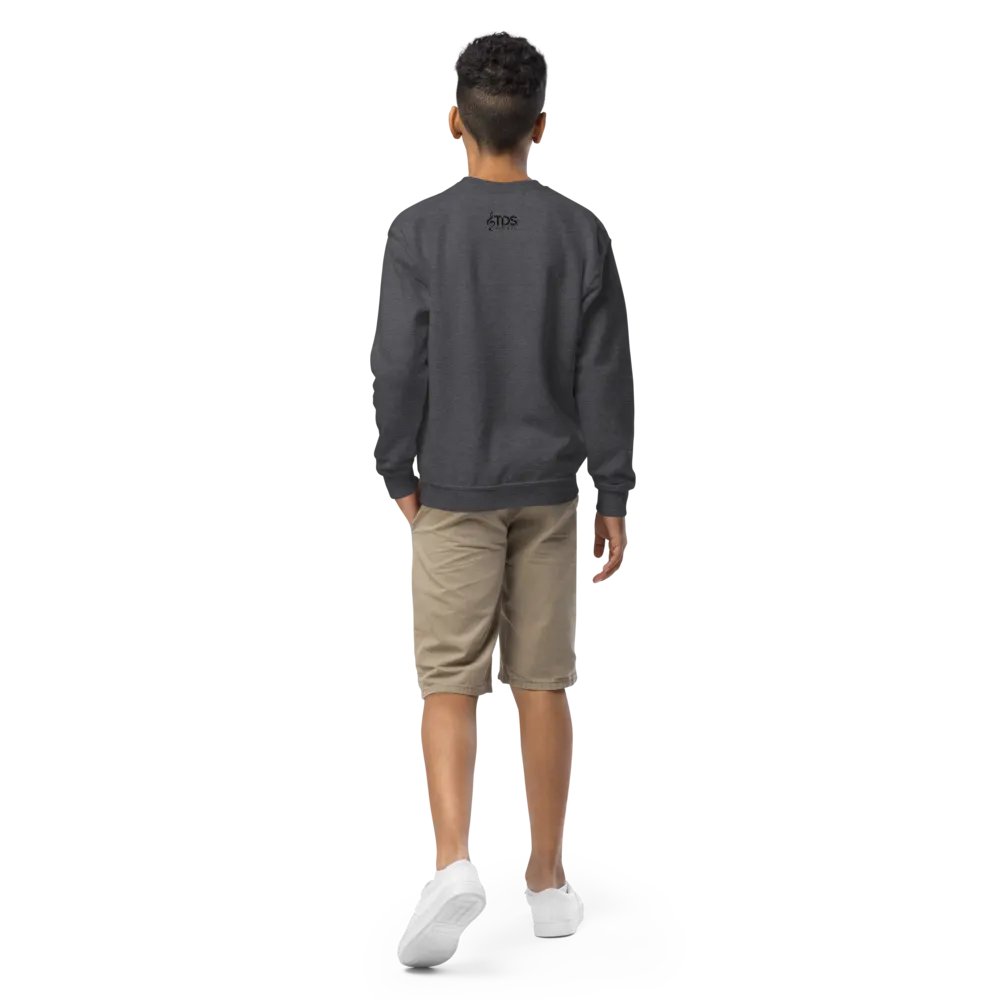 TDS Music Youth Crew Neck Sweatshirt in Blue, White, Black, Red, Gray (XS-XL) product image (9)