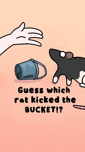 Which naughty raskal did it!? Only people with 400 IQ can get this one... 😇 #rats #funny #meme