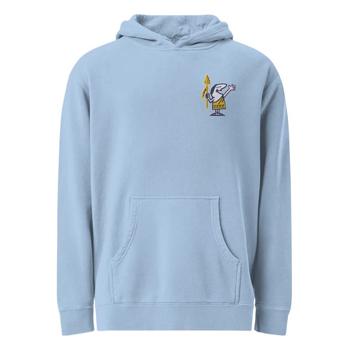 Lake Forest Latin Club Garment-Dyed Hoodie product image (6)