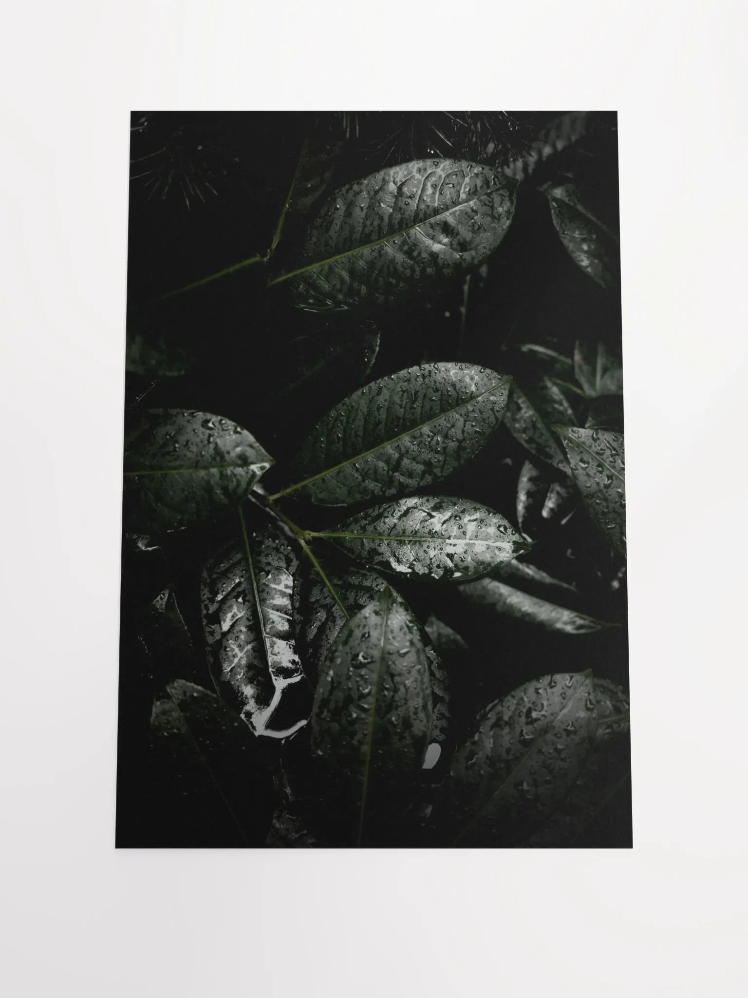 Winter Leaves - Matte Poster product image (3)