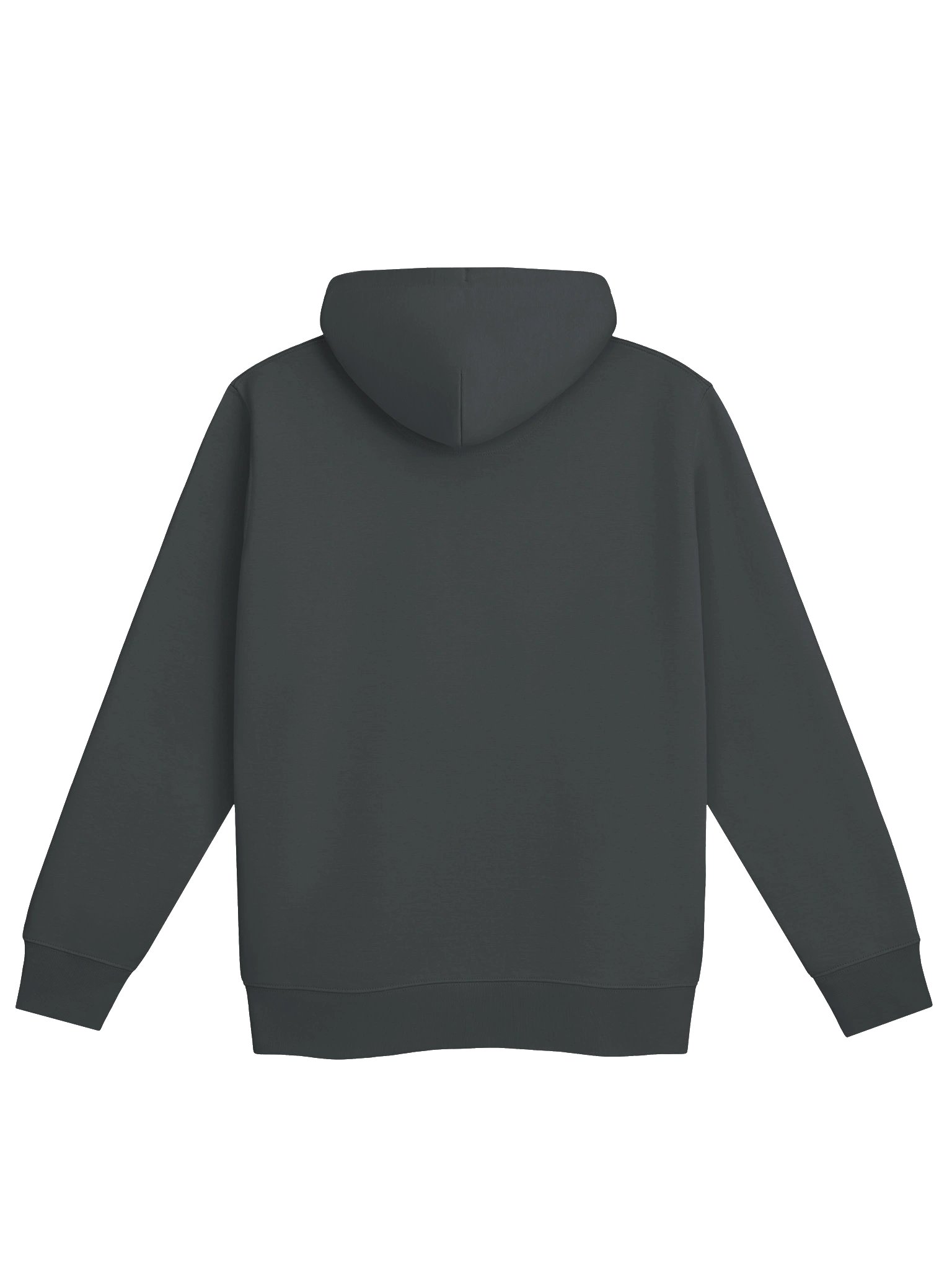 (Hoodie) Rinsed! product image (2)