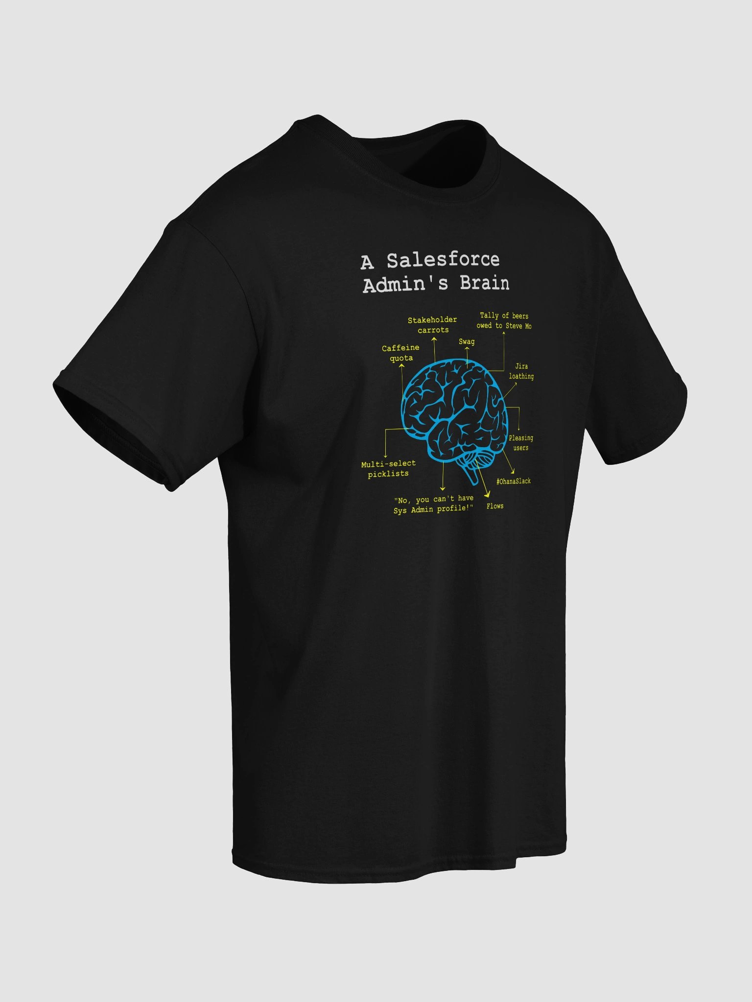 A Salesforce Admin’s Brain product image (39)