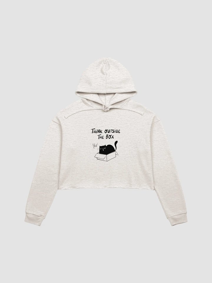 Think Outside The Box Crop Hoodie product image (3)