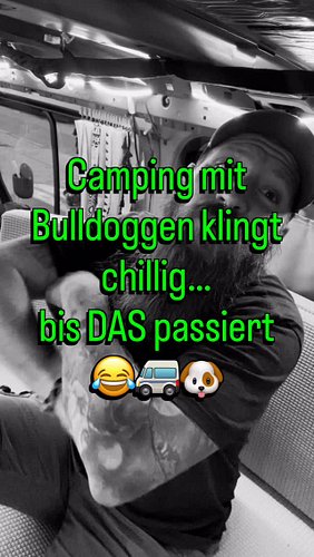 🚐 Camping mit Bulldoggen klingt chillig… bis das hier passiert 😅🐶
Wir wollten losfahren, alles eingepackt, Stimmung top –
und...