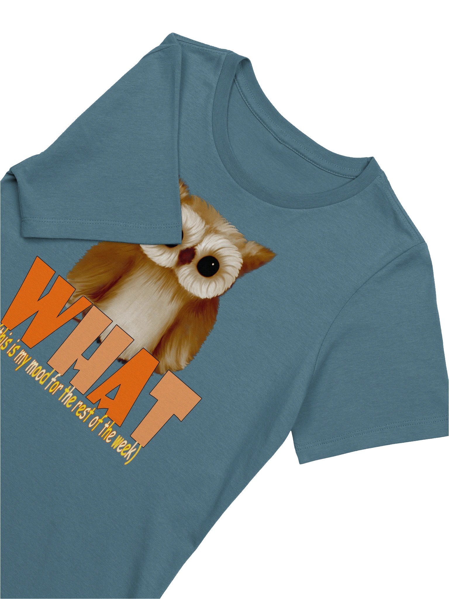 Owl "WHAT" T-Shirt. Women's Bella+Canvas Supersoft Relaxed-fit T-Shirt product image (3)