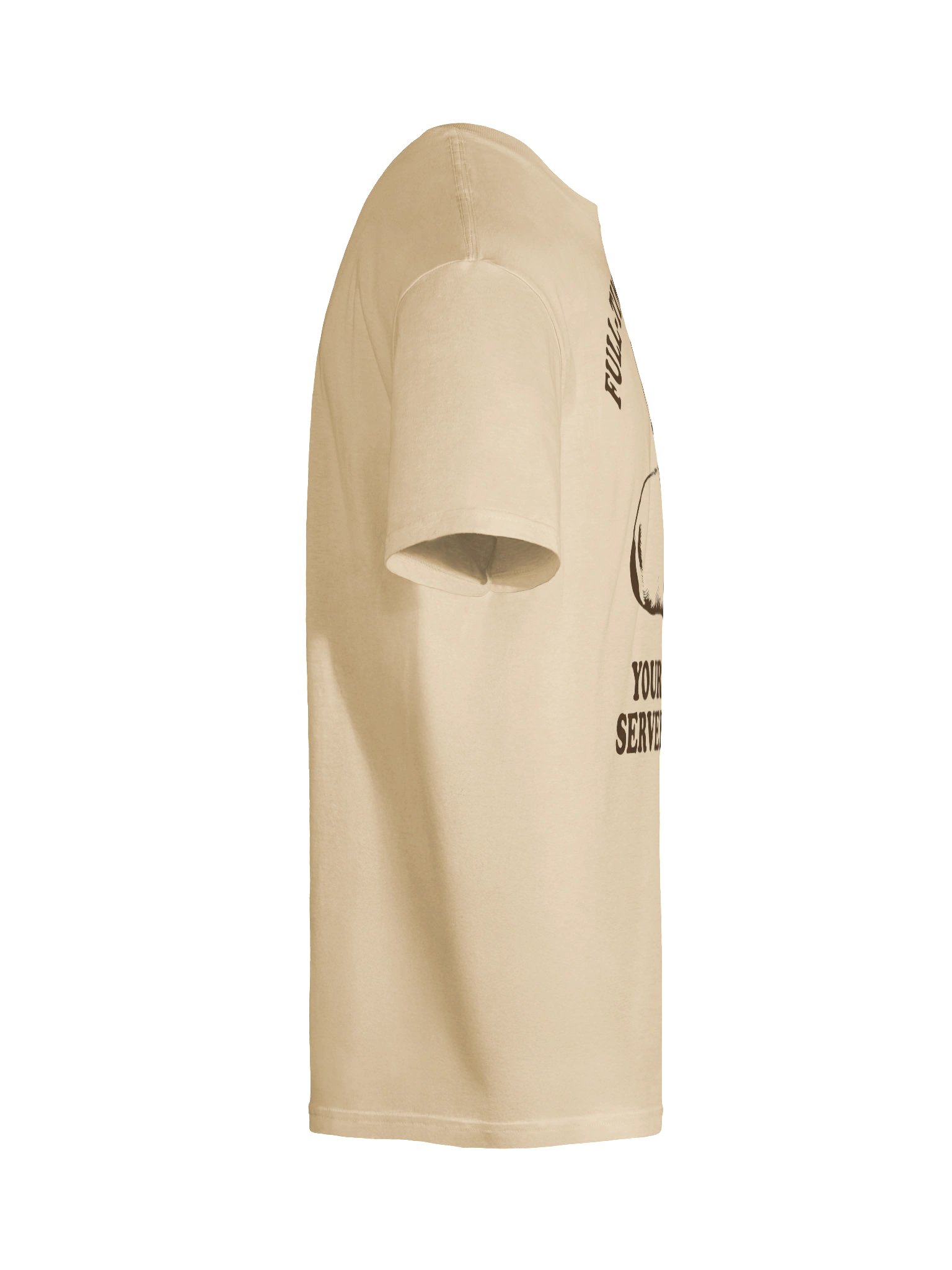 Cat Meal Servant T-Shirt product image (46)