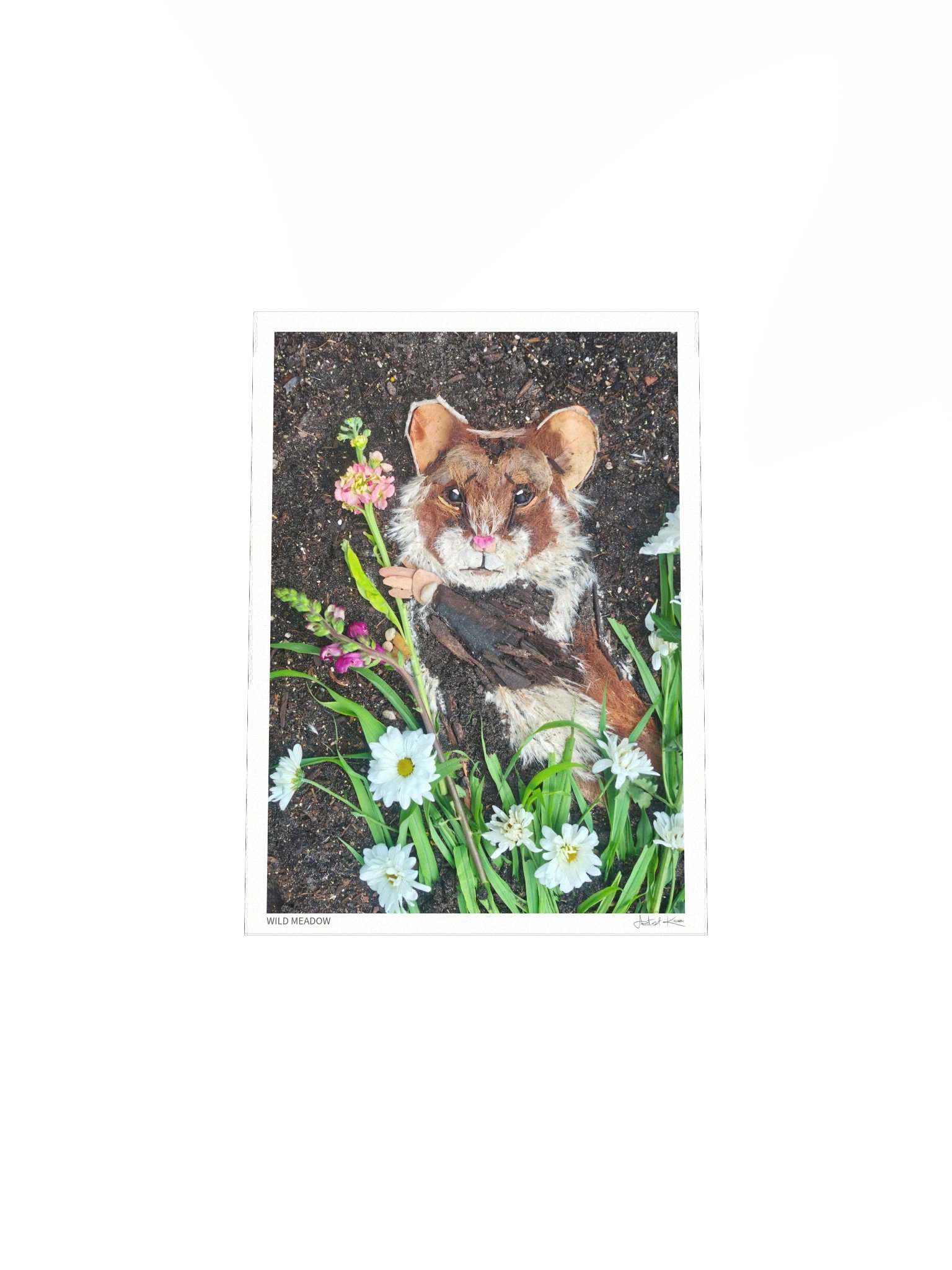 WILD MEADOW | Fine Art Print product image (5)