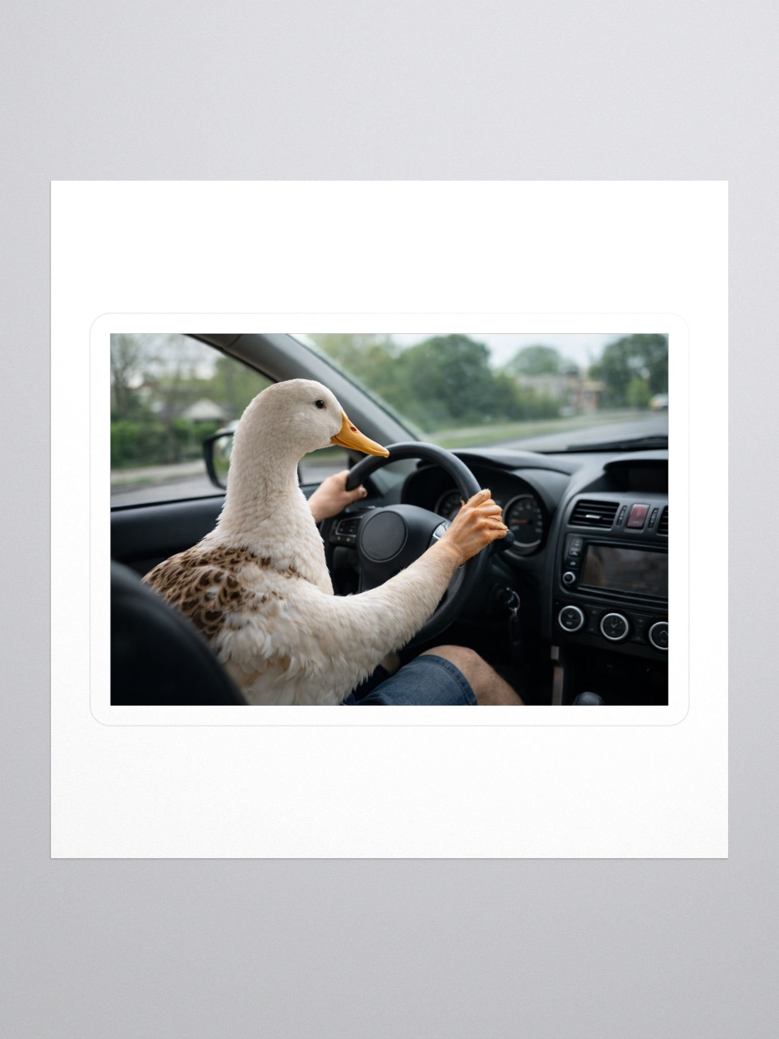 Driving Duck Sticker product image (1)