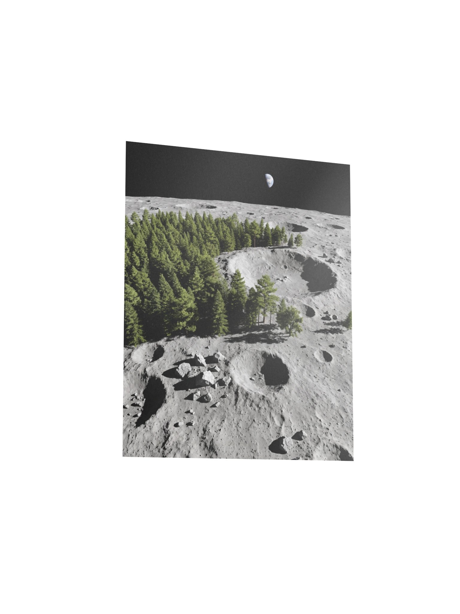 Can't See The Moon For The Trees product image (3)