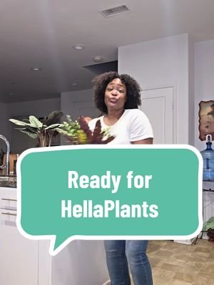 See yall tomorrow margarita guzzlers. Plant Bingo should be a good time at @Hella Plants  #hellaplants #misfitsandmatcha #plantcommunity #plantpeople #plantbingo  Get your tickets in the b-i-o 🪴