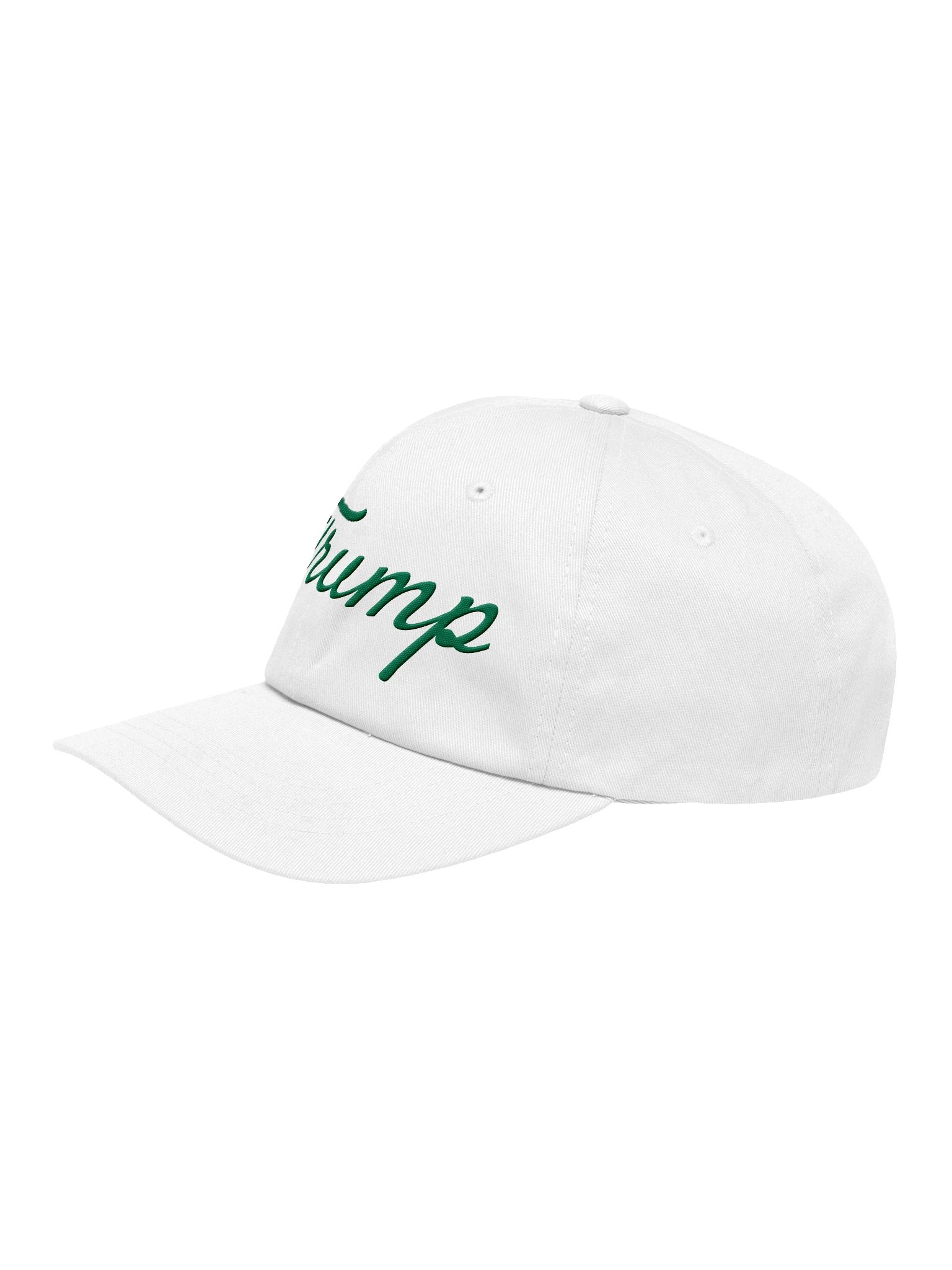 TRUMP V1 Dad Hat product image (4)