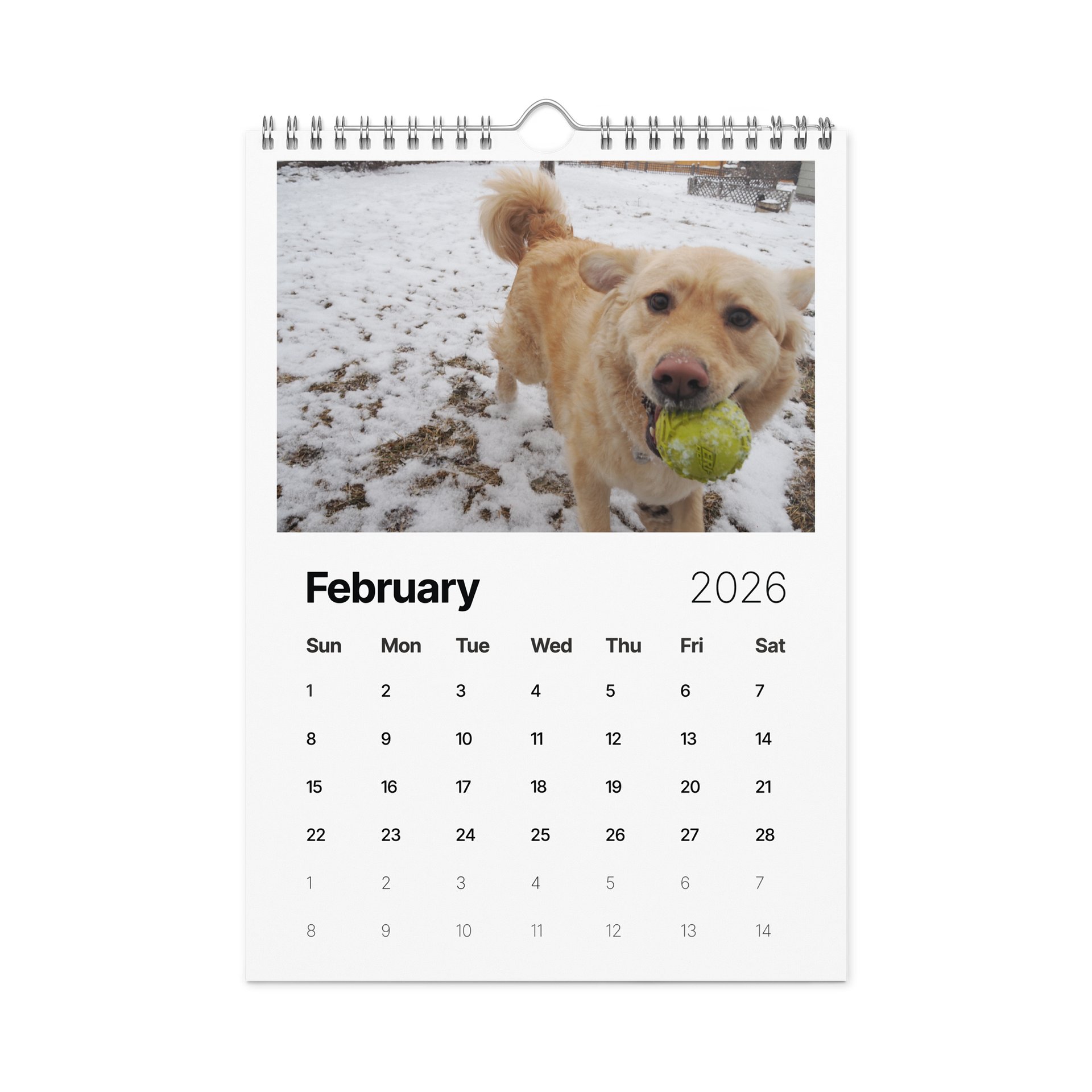 Milo's Life 2026 Wall Calendar product image (1)