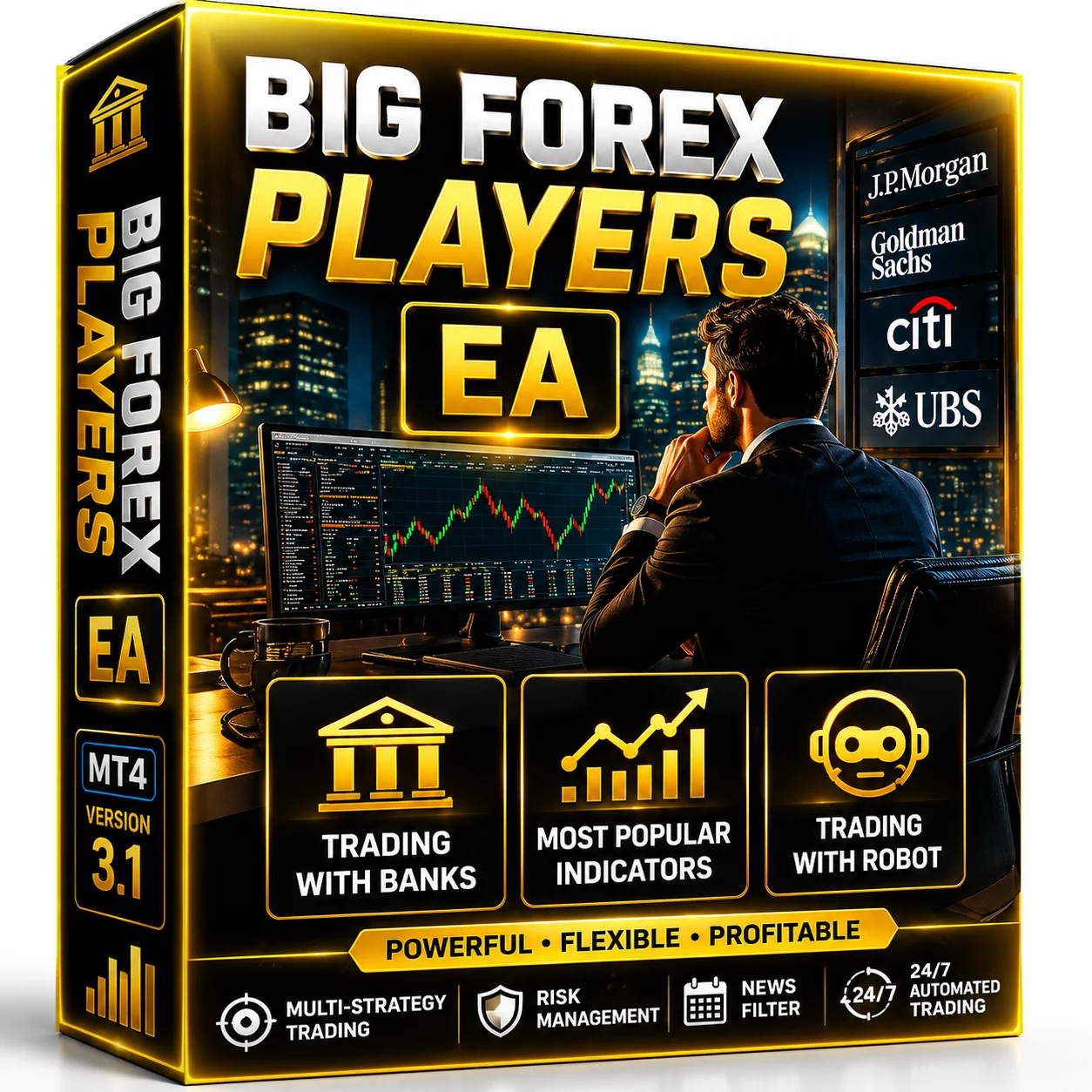 Big Forex Player MT4 version 3.1 product image (1)