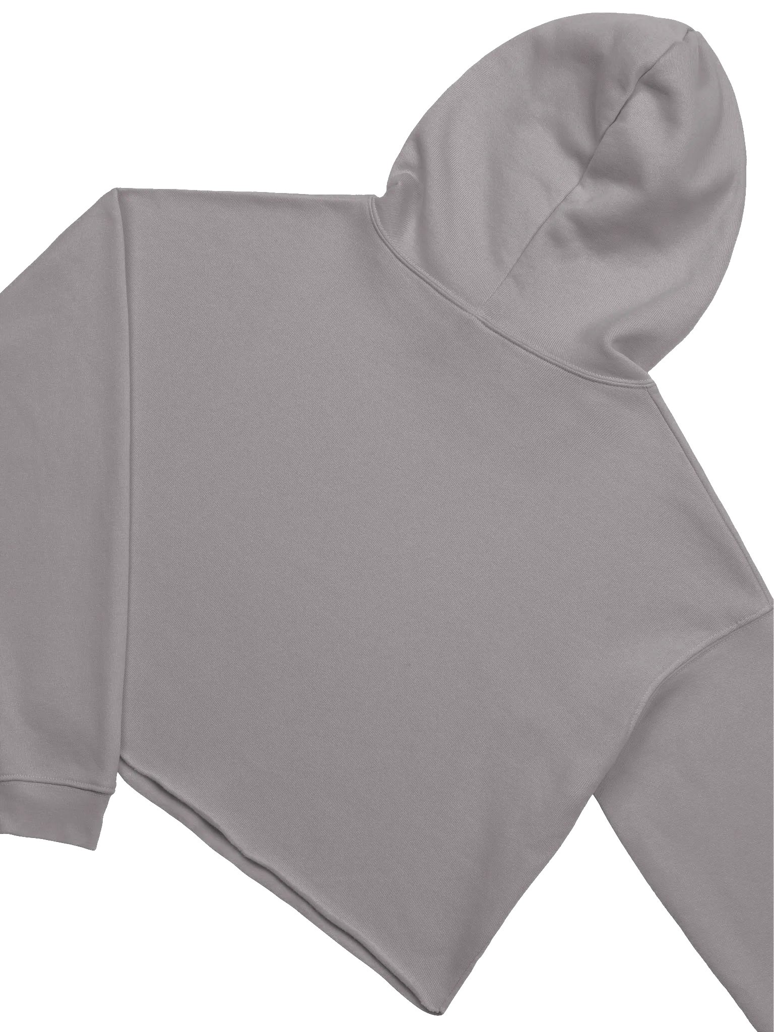 JonSandman Crop Hoodie product image (4)