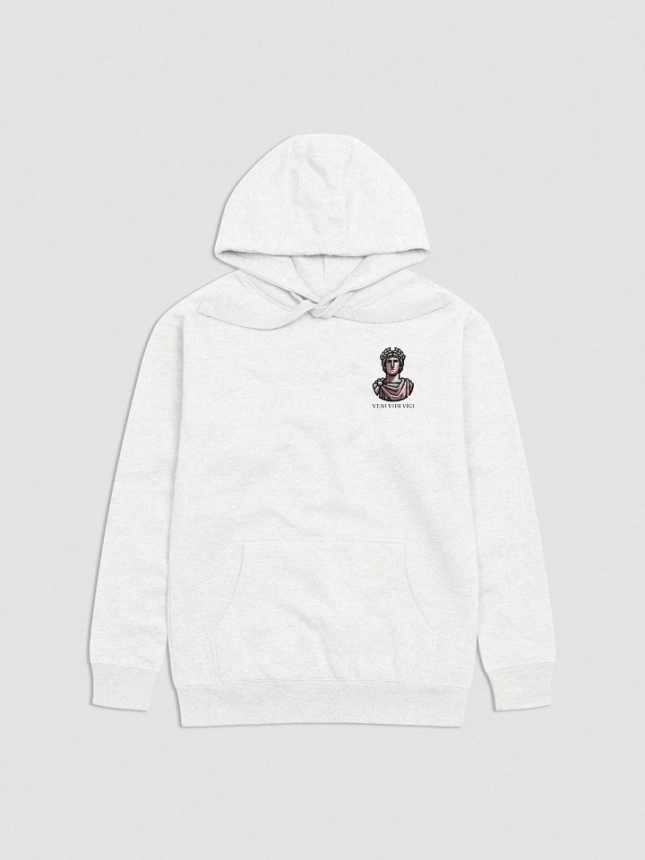 Veni Vidi Vici Hoodie product image (2)