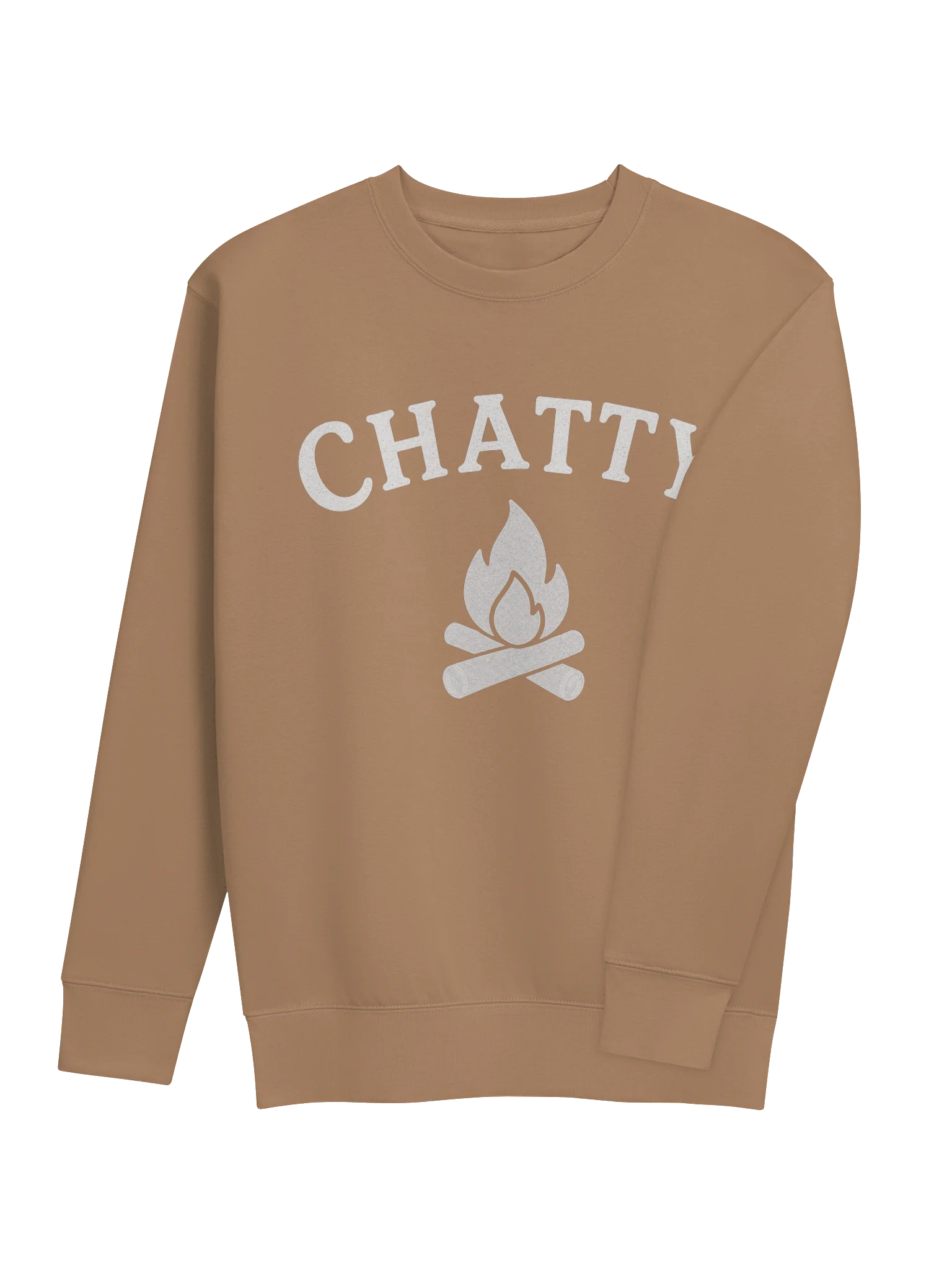 Chatty Campfire Premium Sweatshirt | Cozy Chatty Fall Collection product image (28)