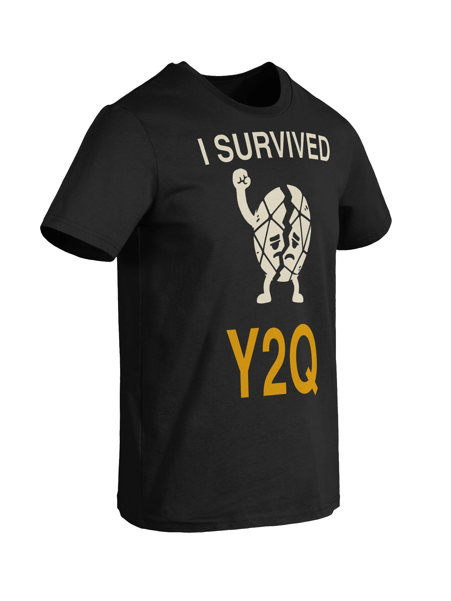 I Survived Y2Q product image (4)