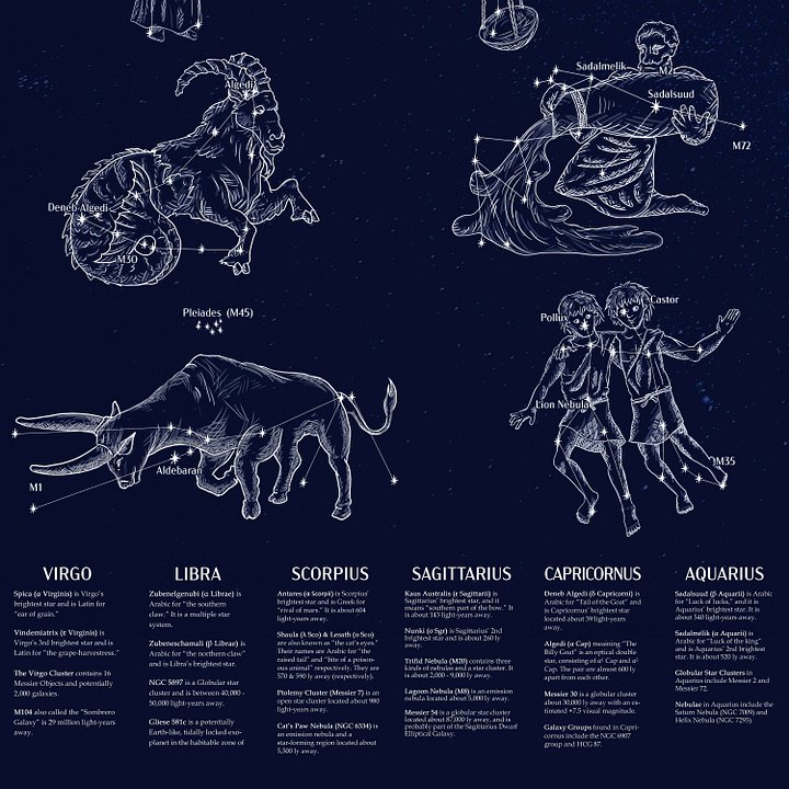 Zodiac Constellation Art & Infographics Poster product image (2)