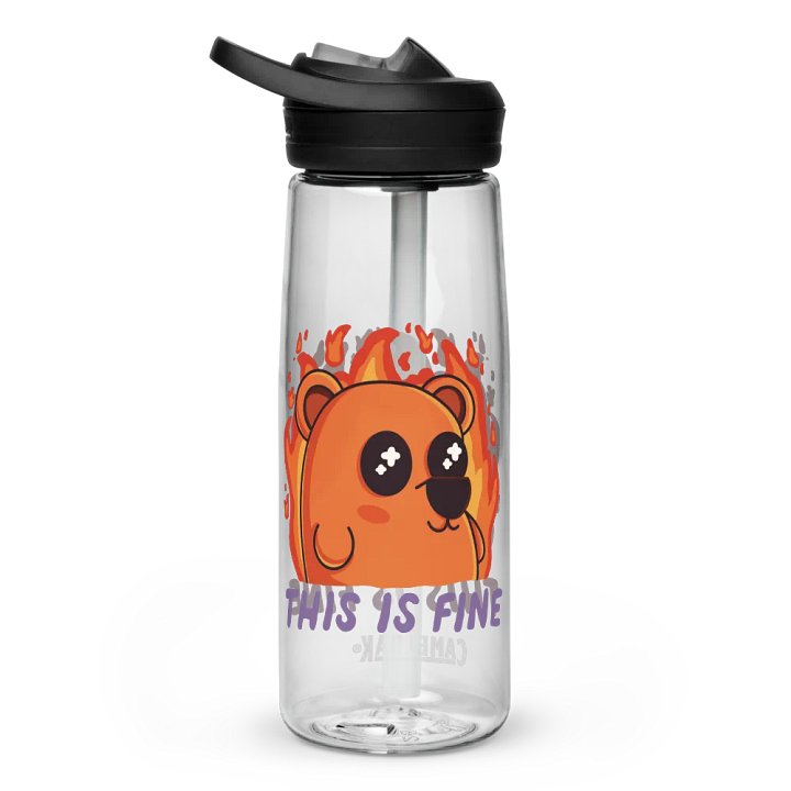 This is Fine Behr CamelBak product image (2)