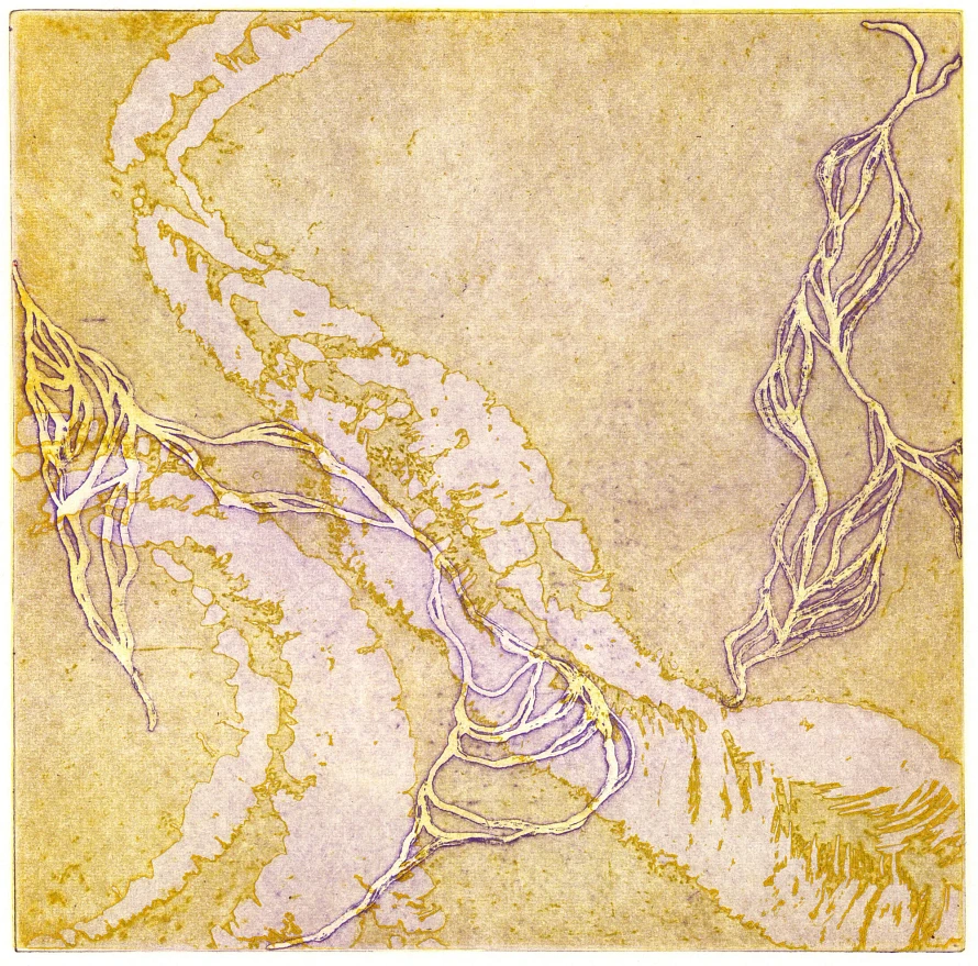 Intaglio etching 6 x 6 in.  2009, 6 x 6 in. Multiple plate intaglio etching