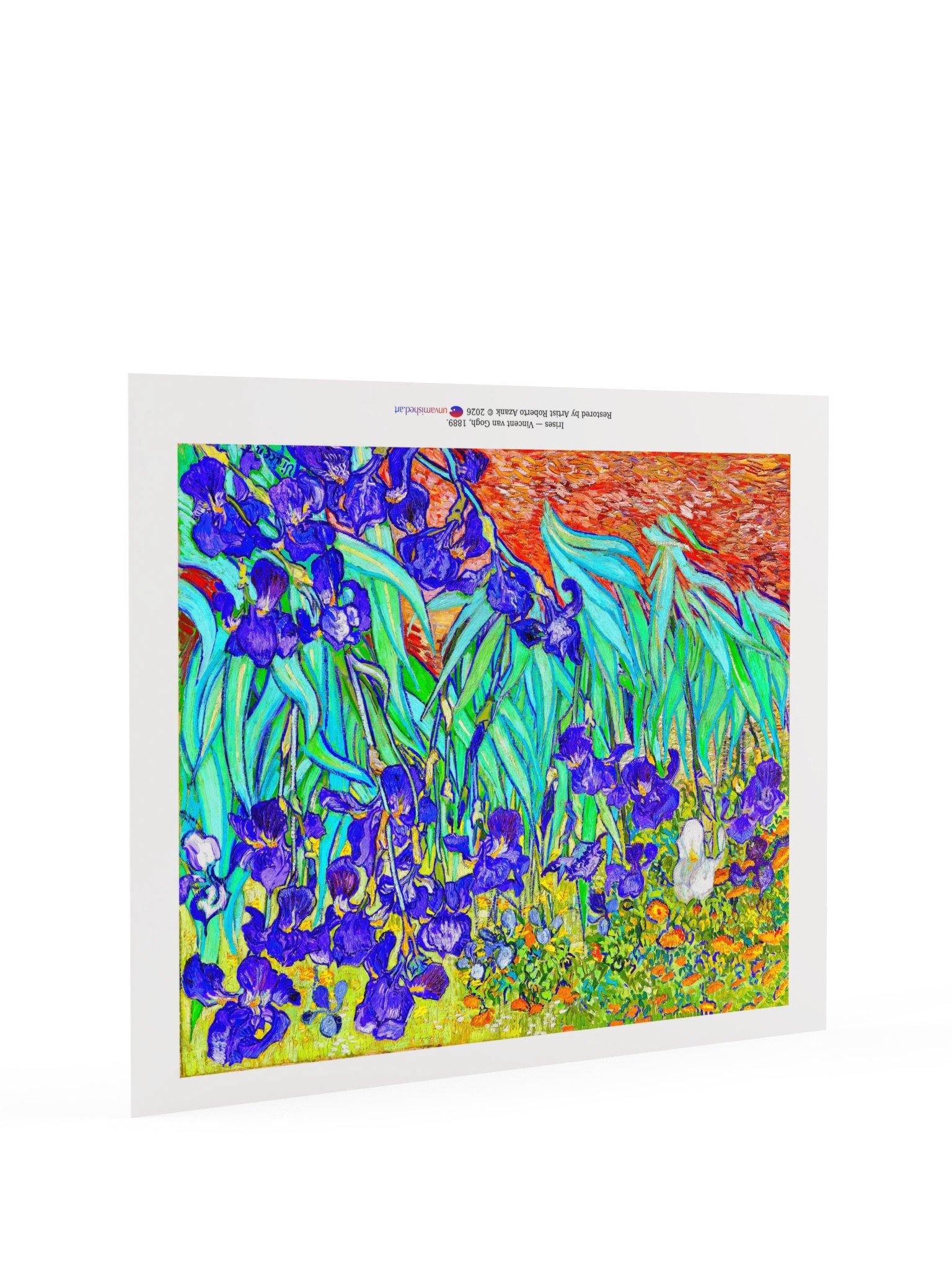 Irises — Poster product image (21)