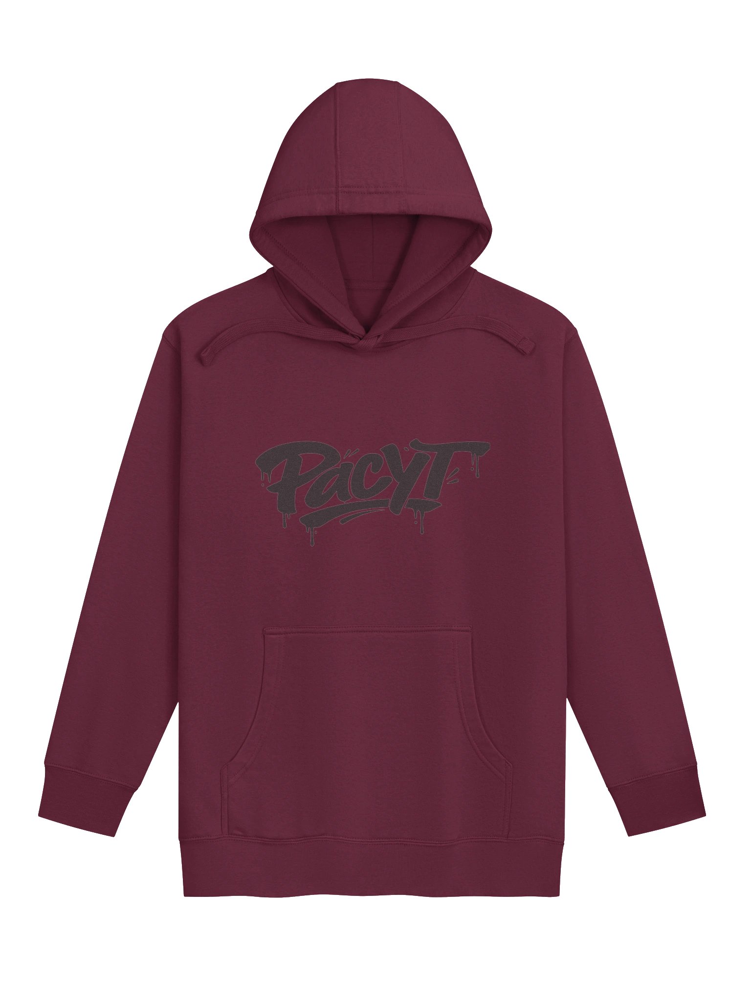 PacYT Hoodie product image (1)